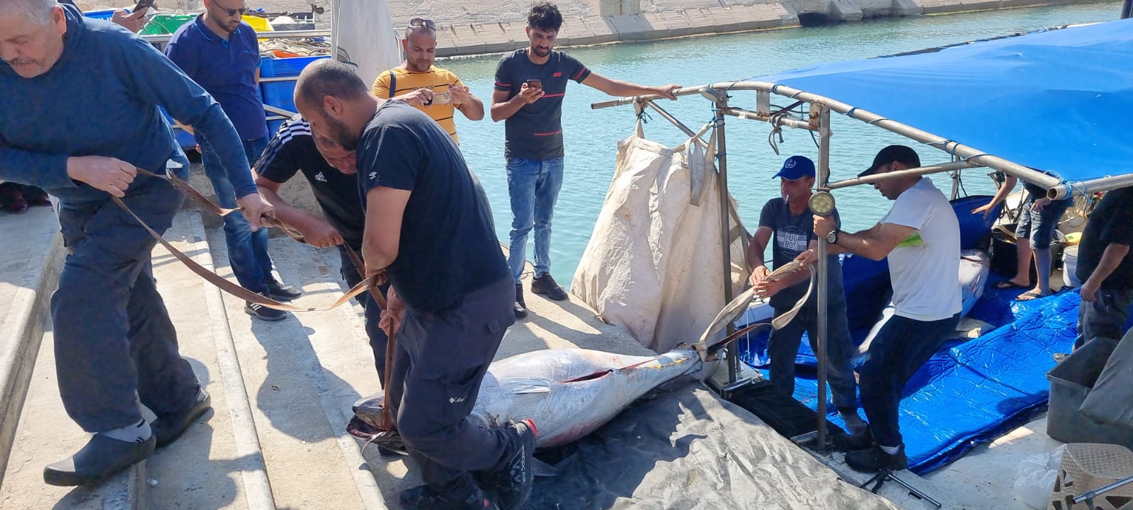 WhatsApp Image 2022-05-25 at 4.39.11 PM (1).jpeg